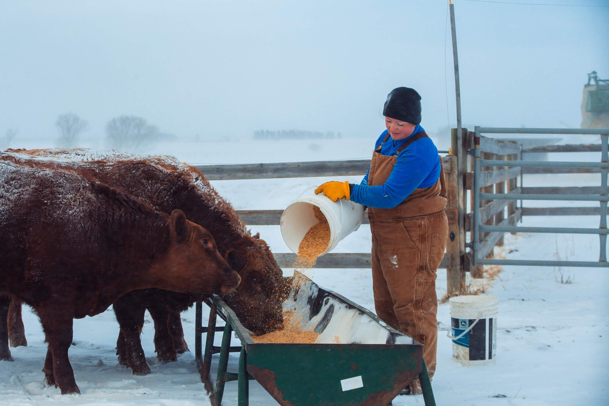 ​​​​Balanced Mineral for Better Calving